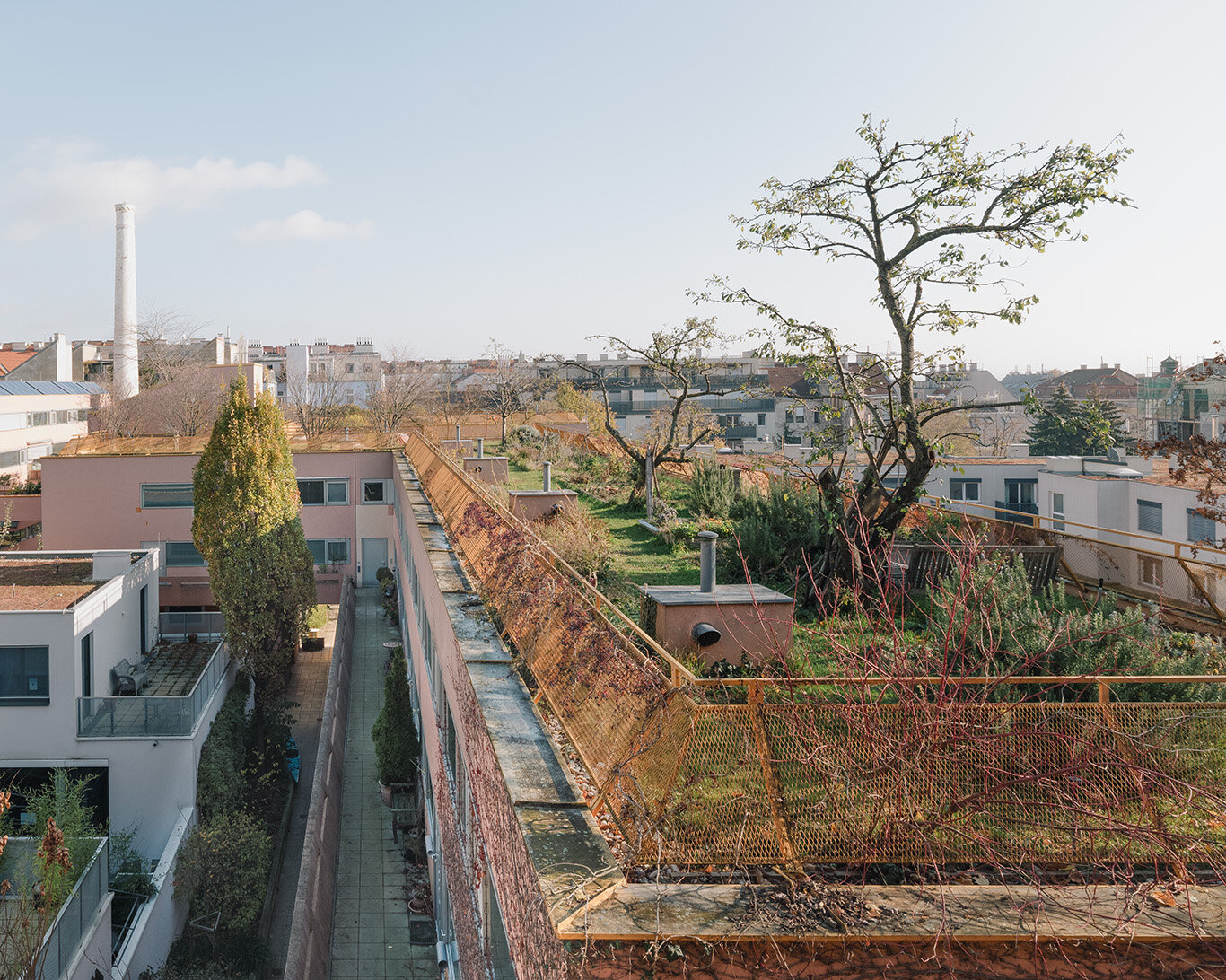 Dachgarten Sargfabrik, BKK-2 Architektur, 1996
